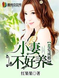 惹爱成婚顾惜陆靖骁全文
