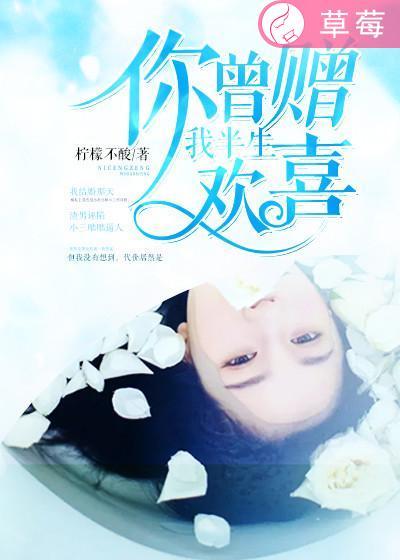 我曾为你半生流离全书