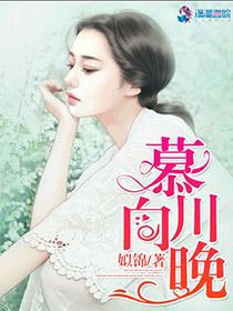 慕川向晚书评