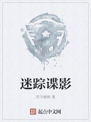 迷踪谍影断更了
