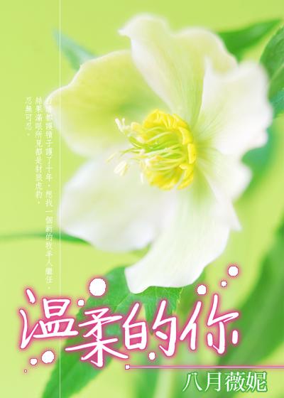 温柔的你免费阅读